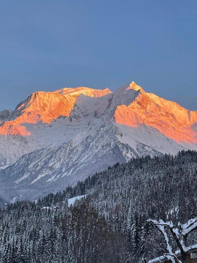 Vue Splendide Mont Blanc Leilighet Saint-Gervais-les-Bains Eksteriør bilde